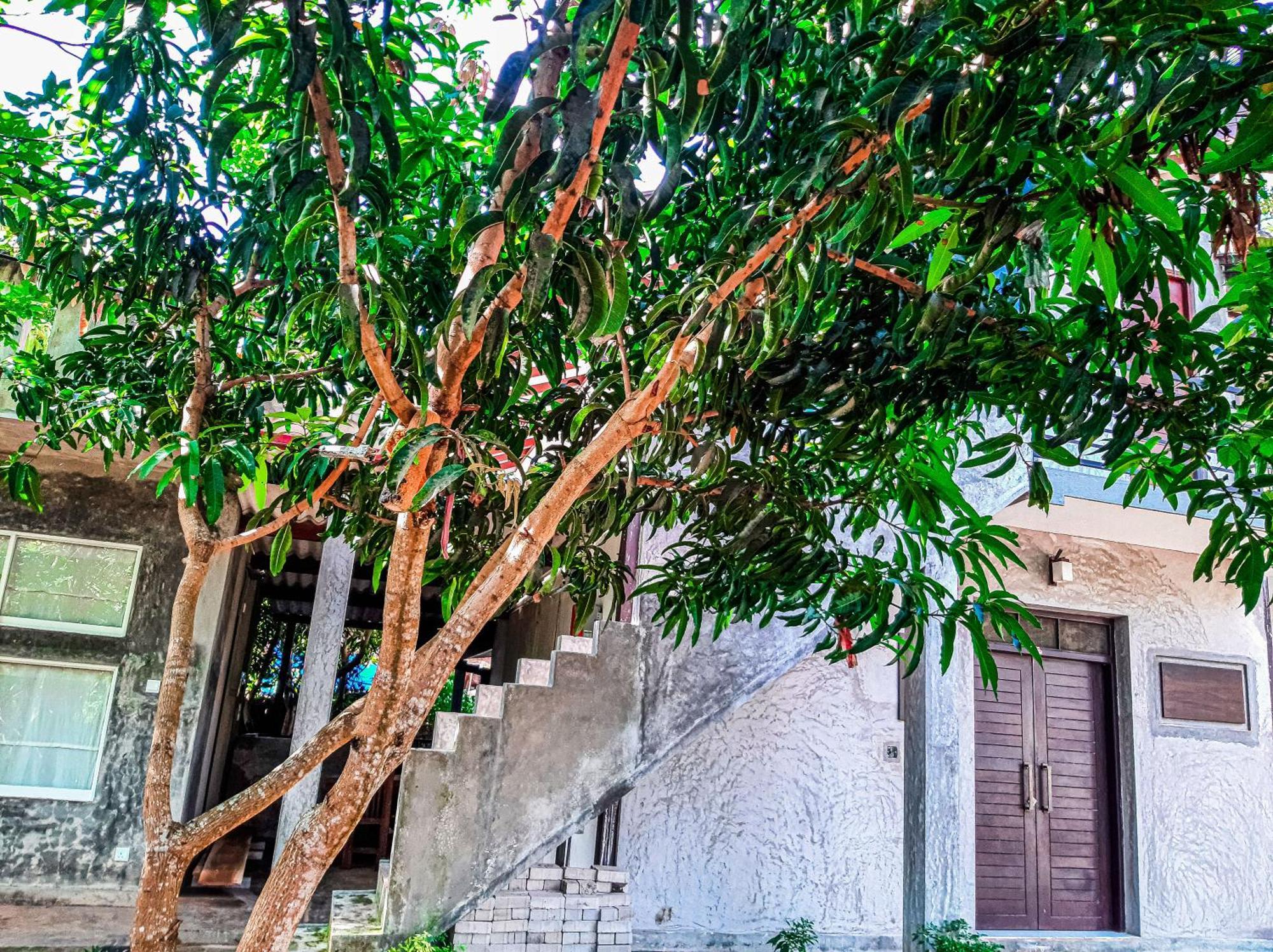 Dollyz Home - Sri Lanka Ambalangoda  Exterior foto